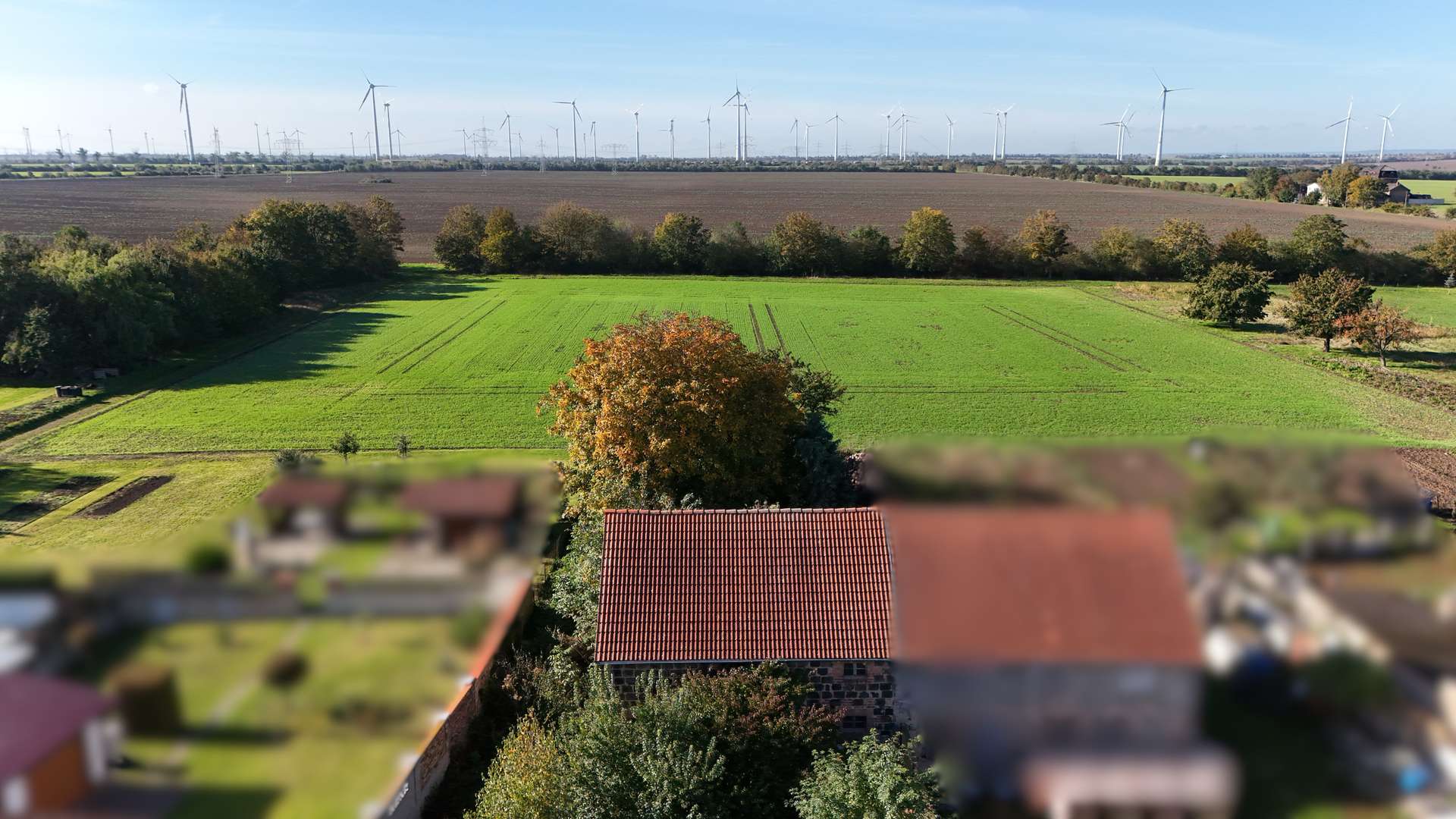 Blick Rückseite