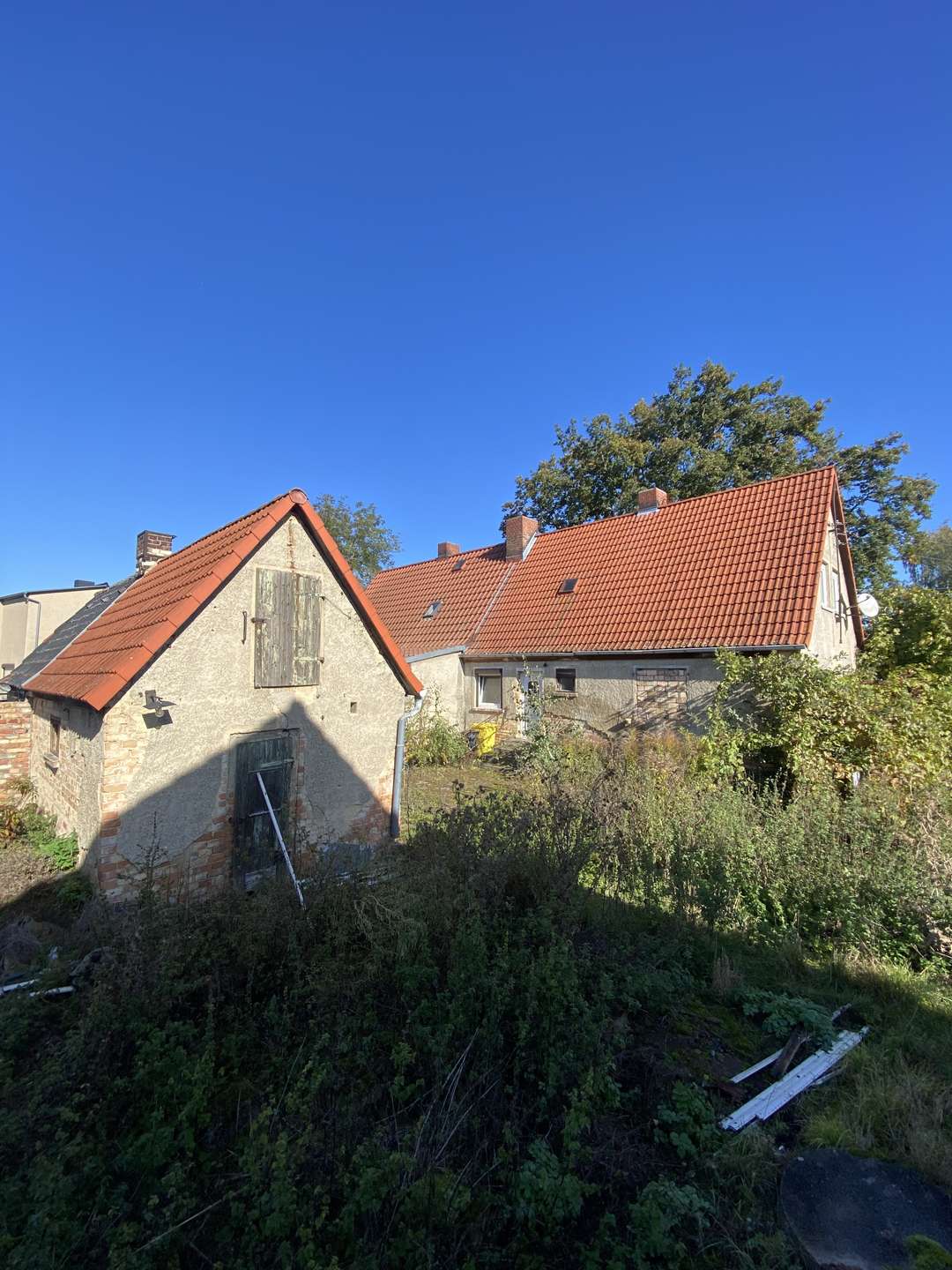 Blick auf Schuppen und Haus