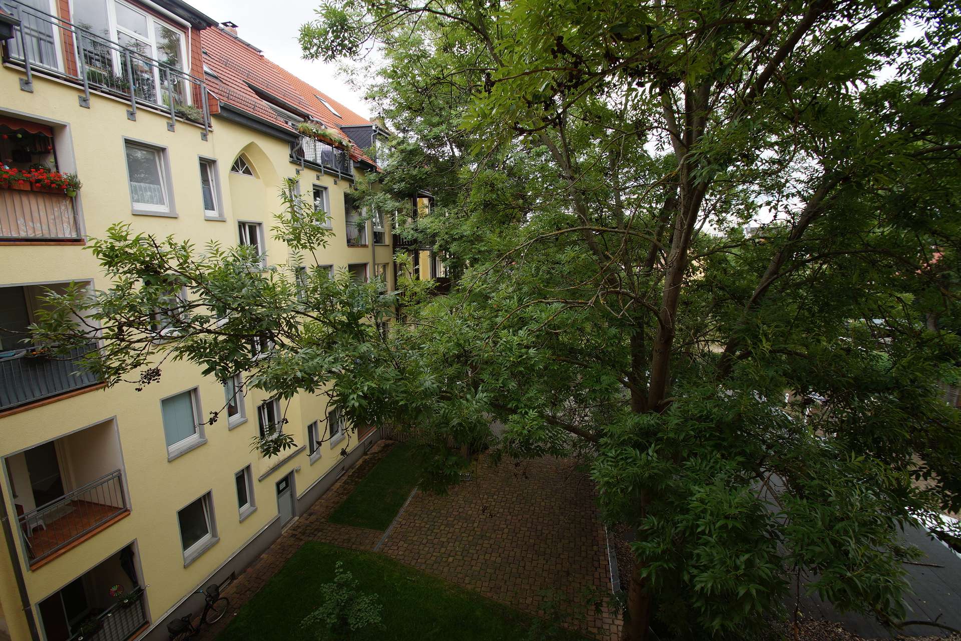 Hofblick