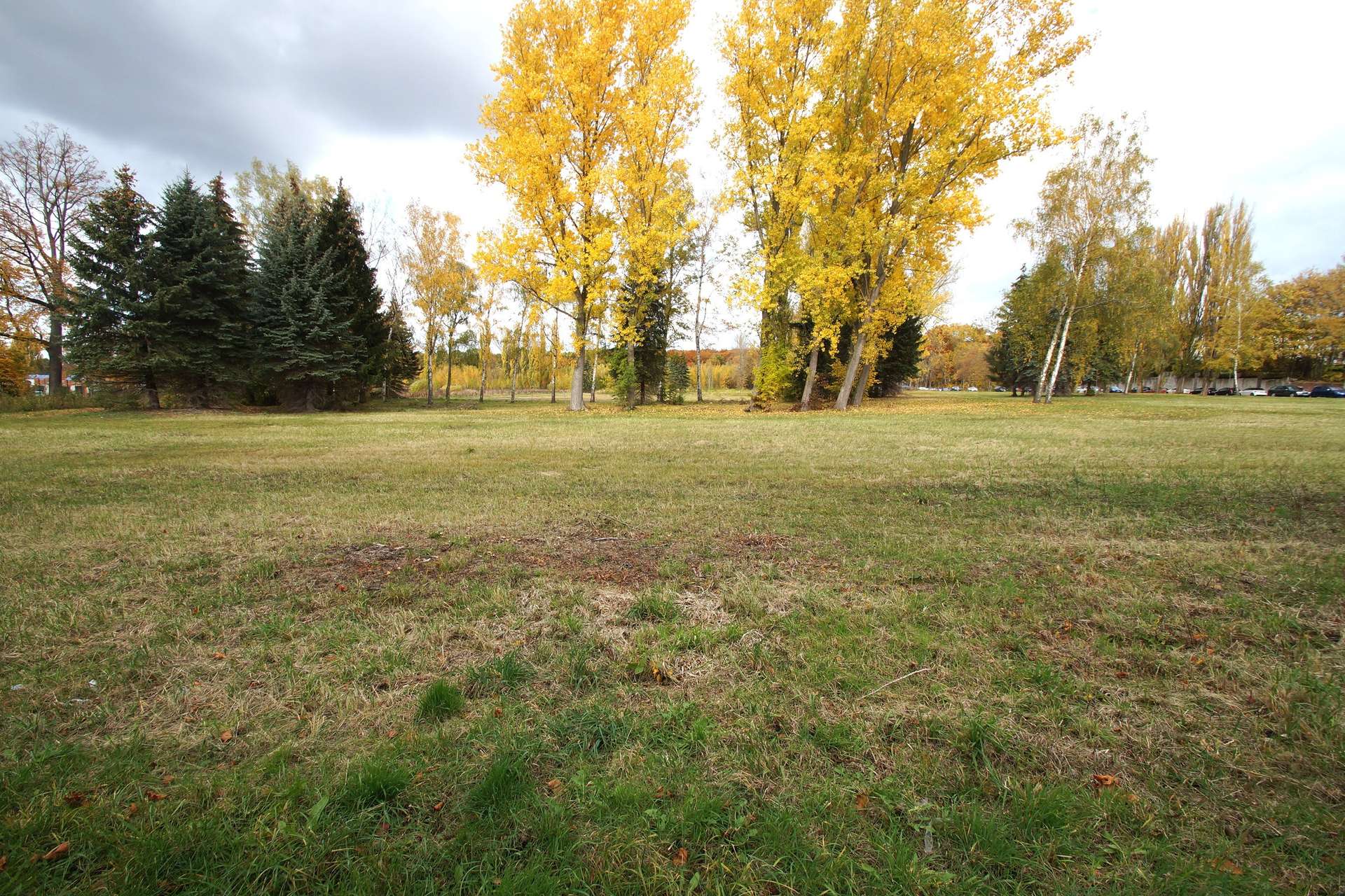 Park