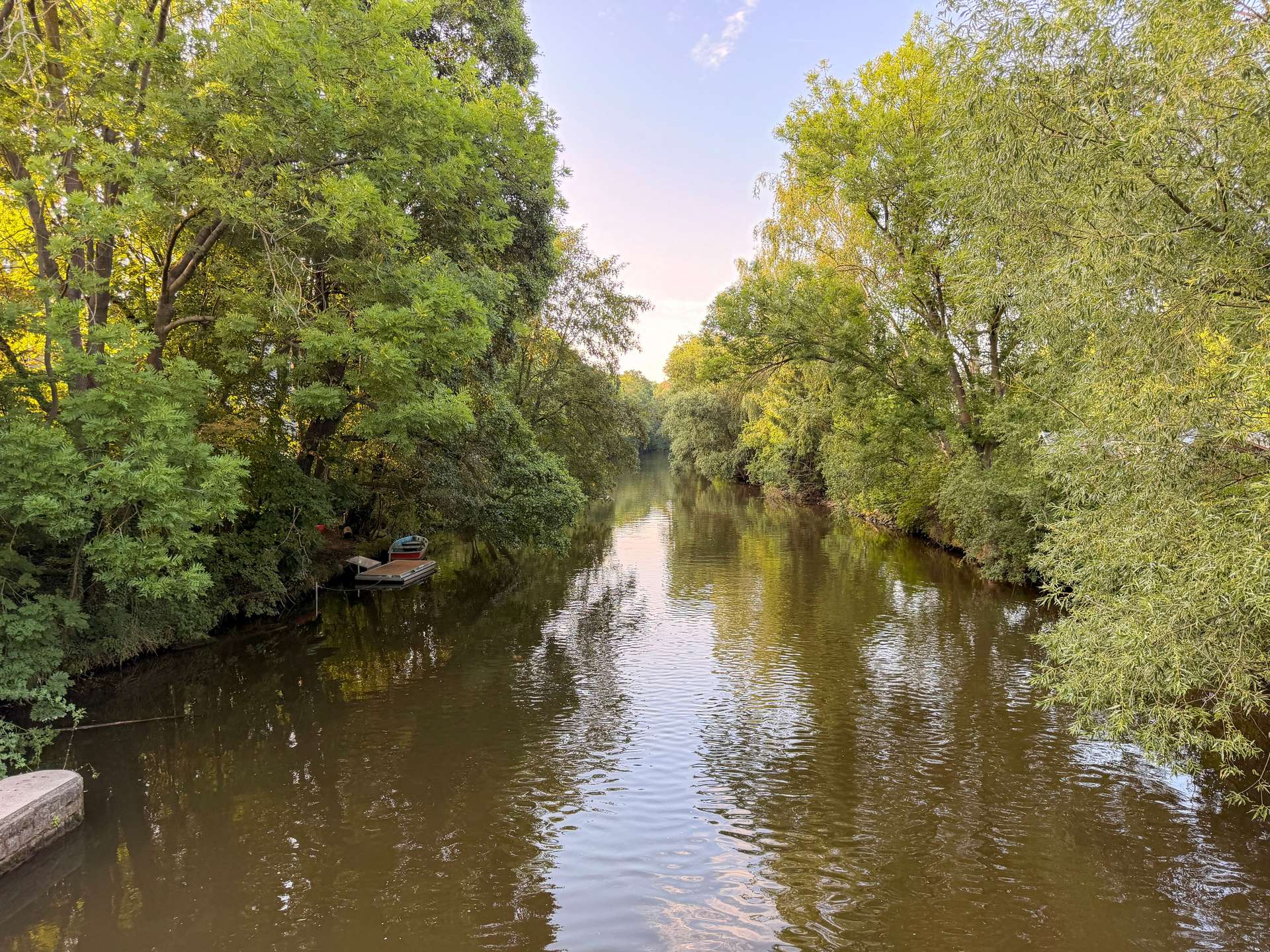Umgebung: weiße Elster