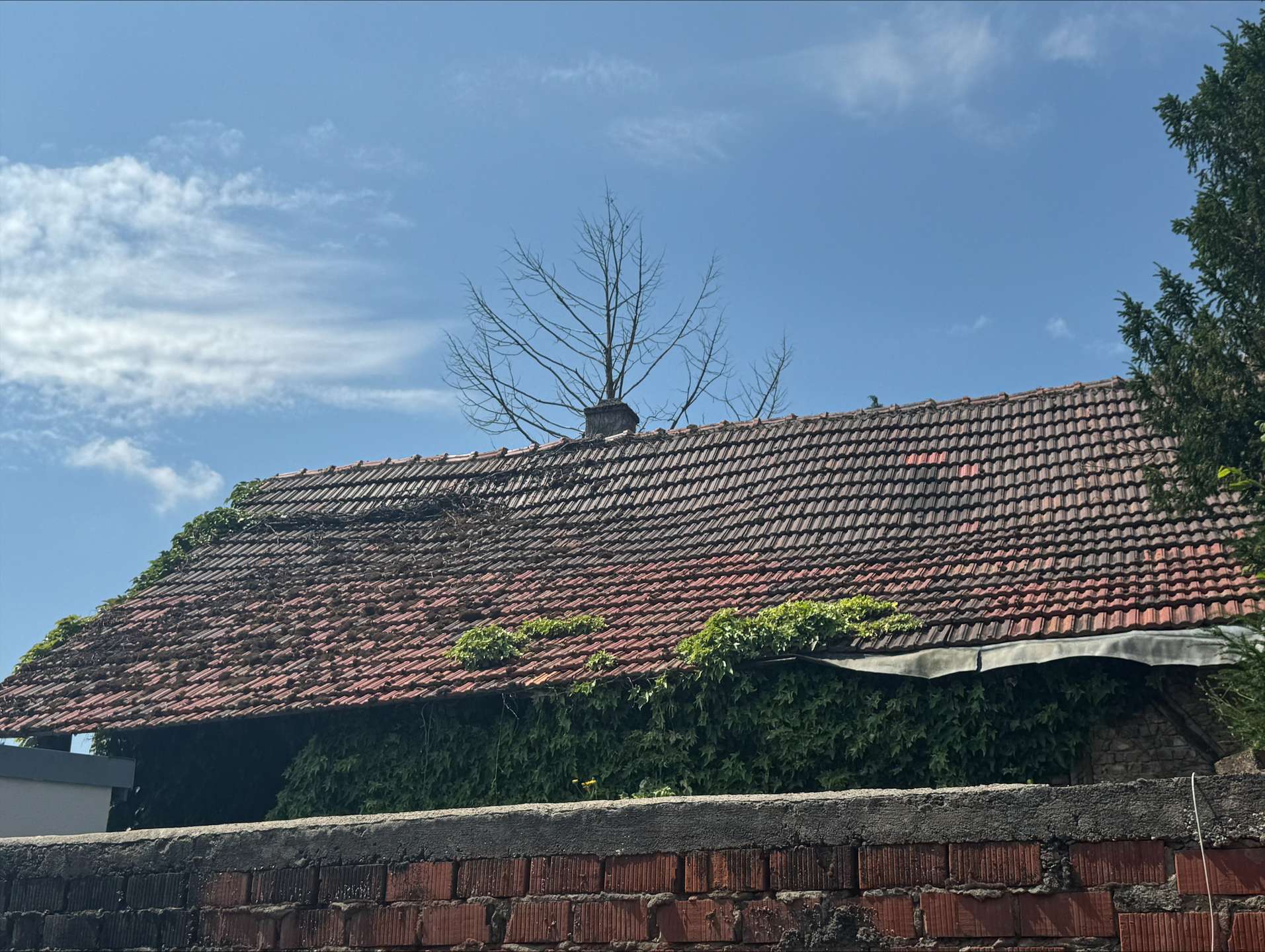 Ansicht Dach