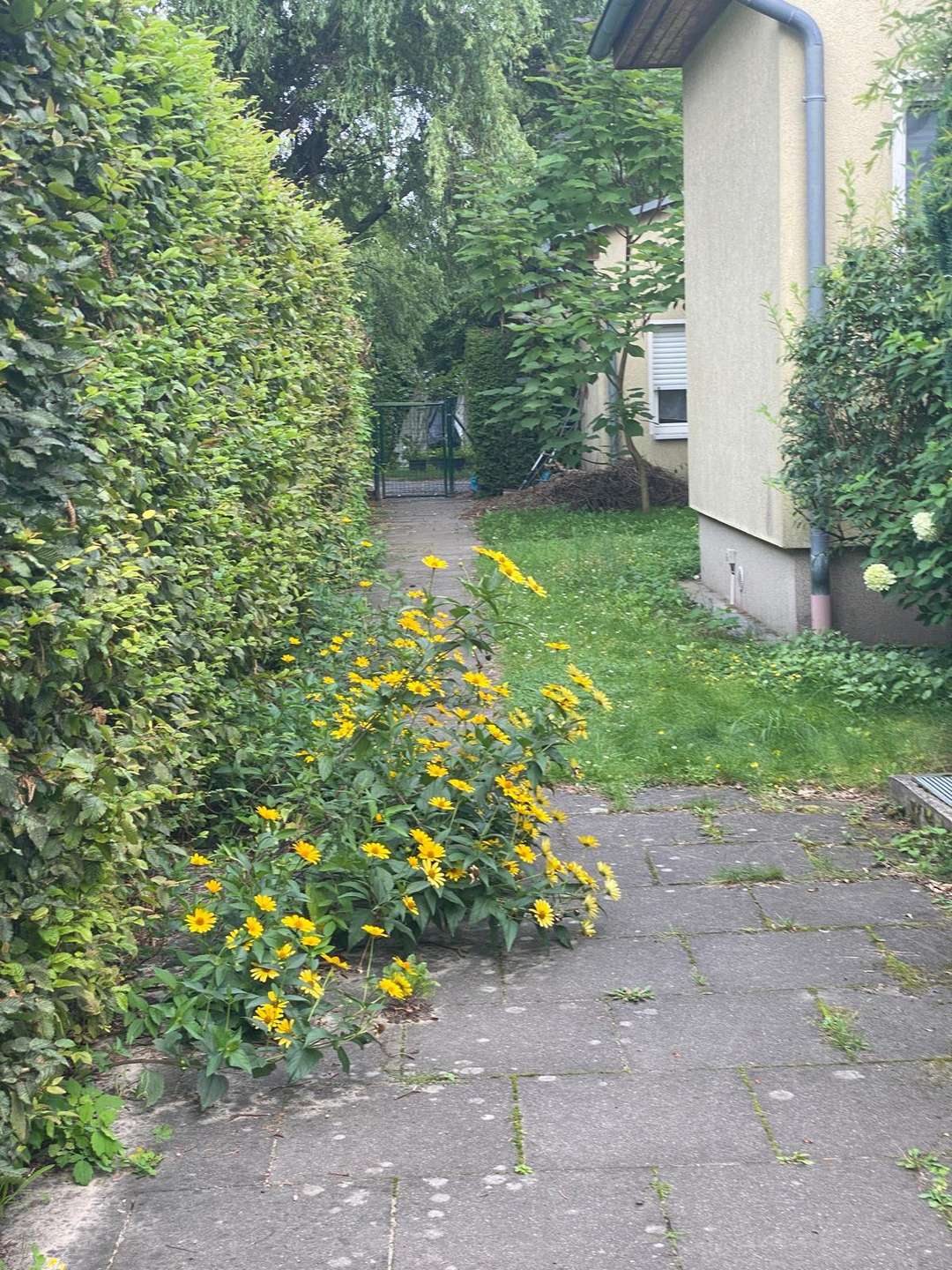 Grundstück