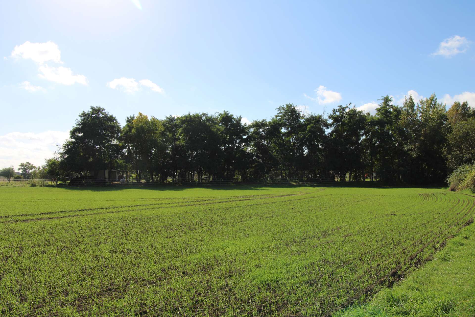 Umgebung