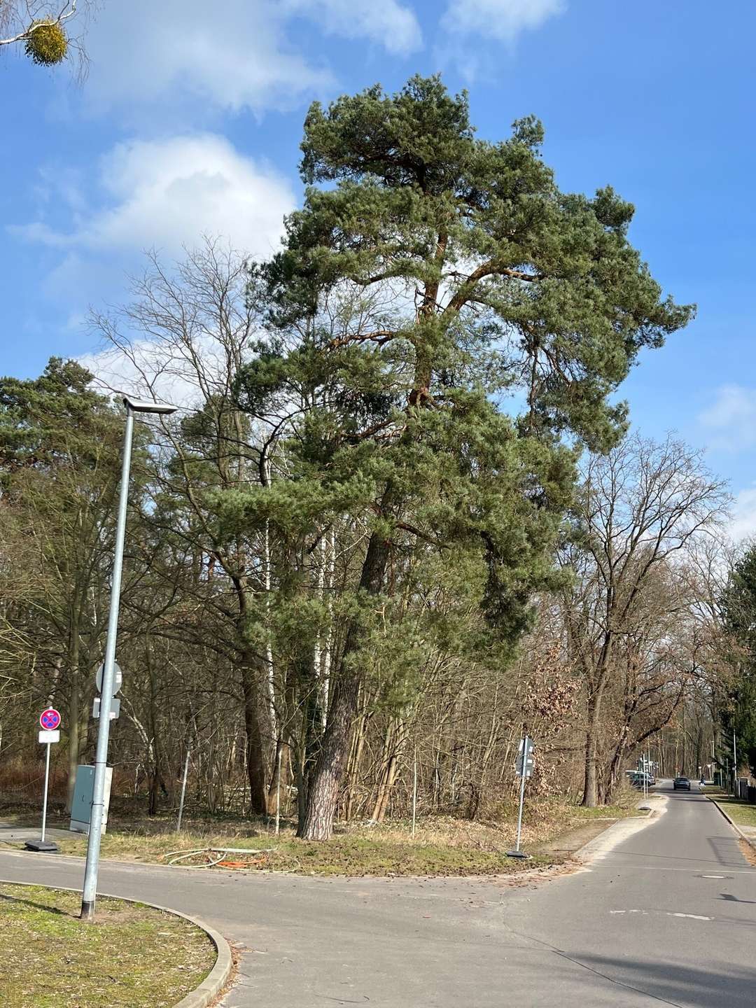 Umgebung Wald