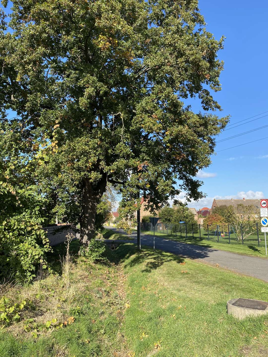 Umgebung