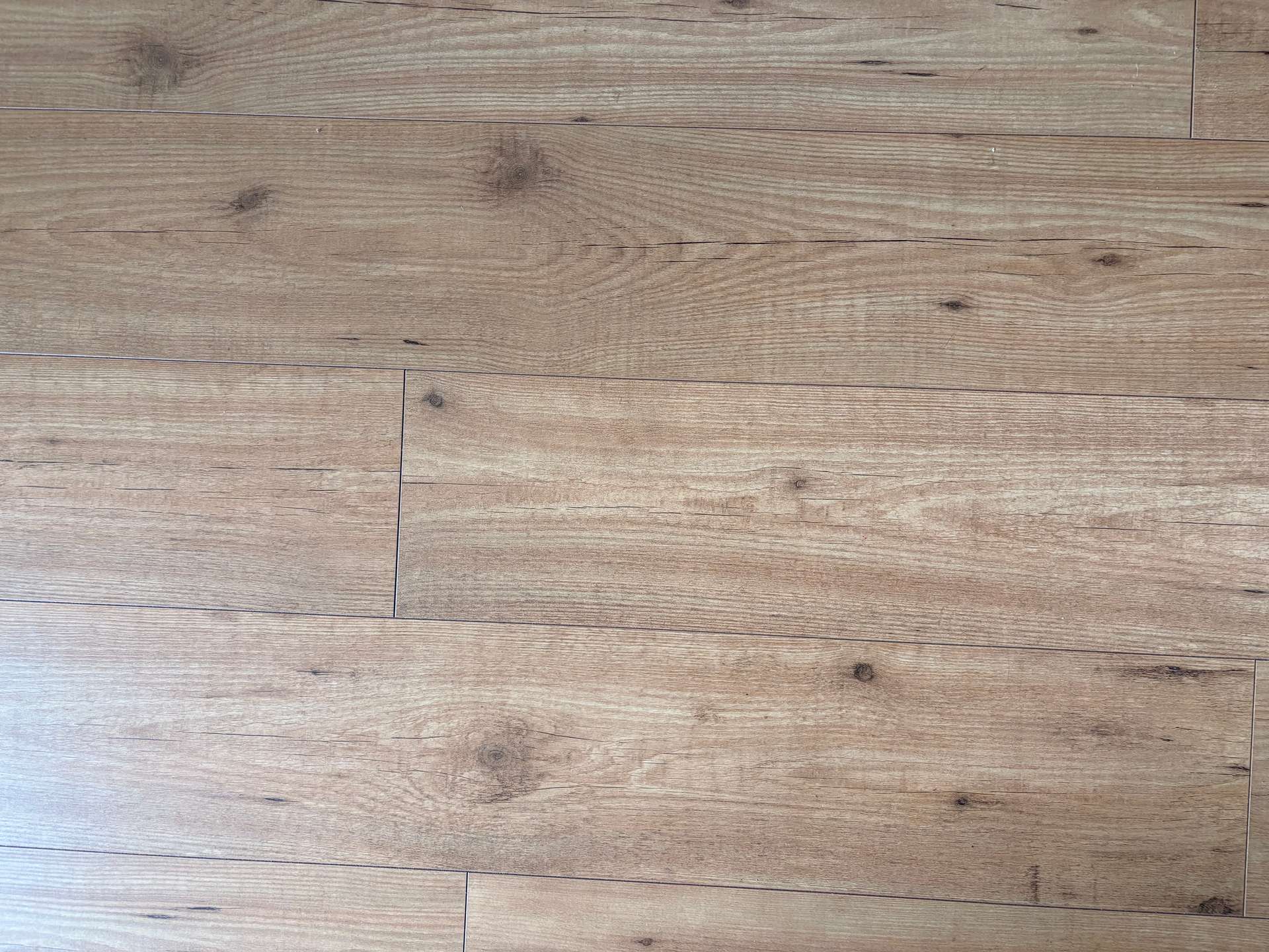 Boden