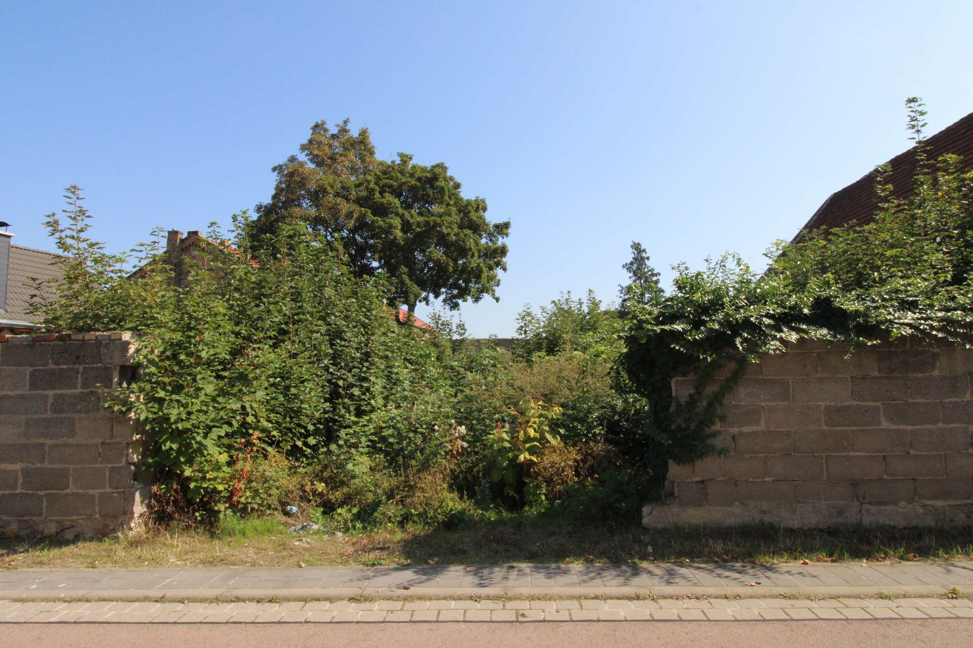 Frontale Ansicht auf das Grundstück