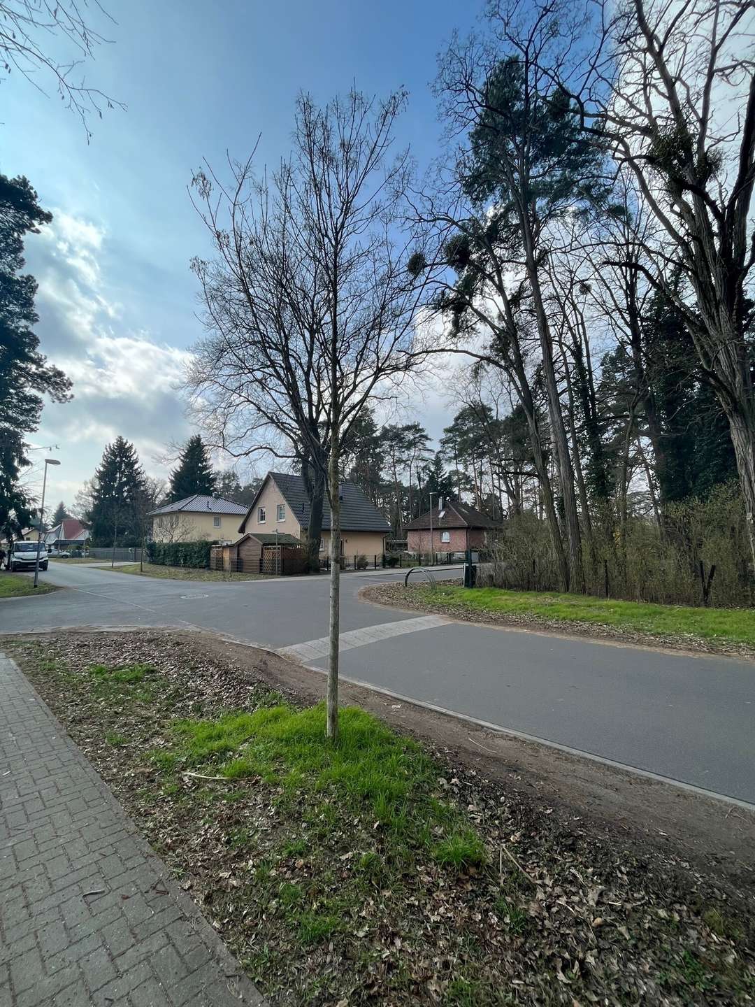 Umgebungsbebauung Moselstraße