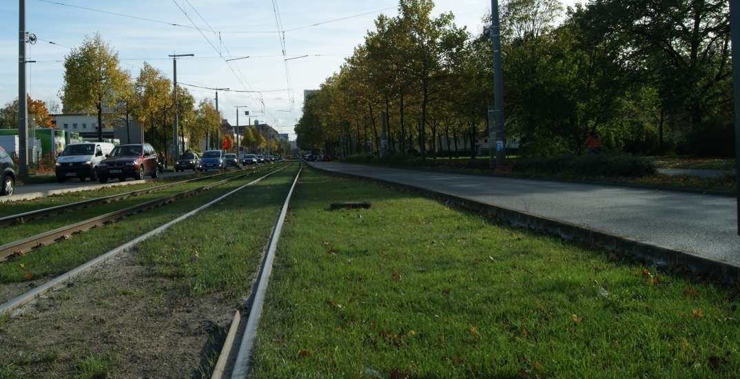 Umgebung