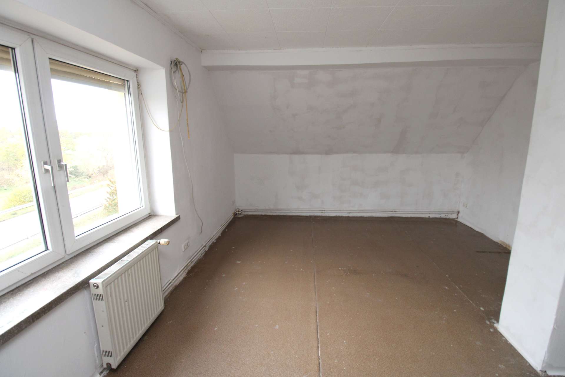 Zimmer DG