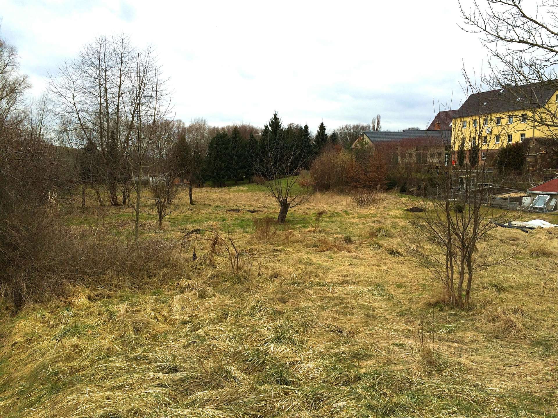551530-kurz#Blick aufs Baugrundstück, Stößen (Stößen)