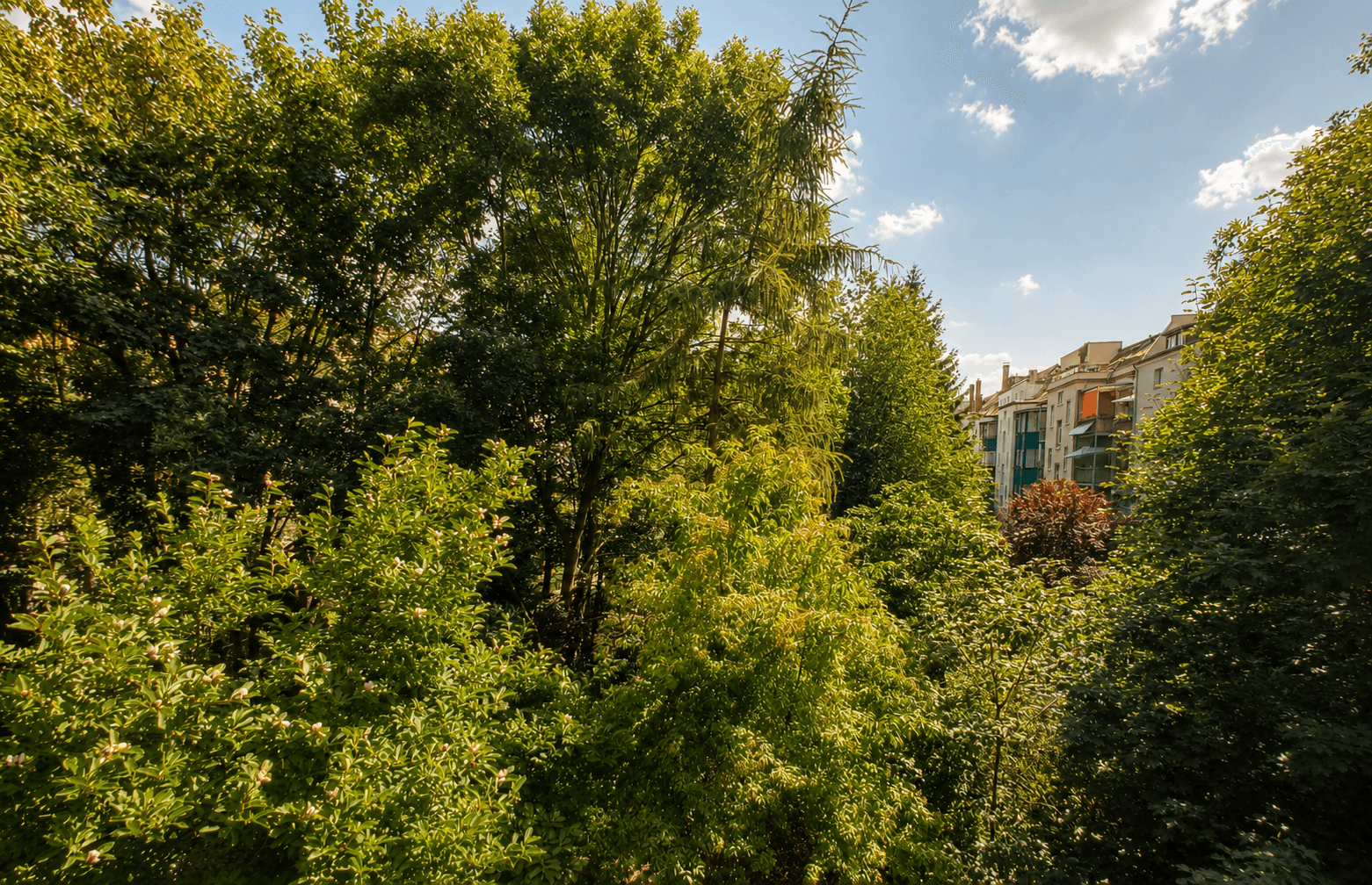Ausblick_Schnorrstr31, Leipzig (Schleußig), Schnorrstraße 31