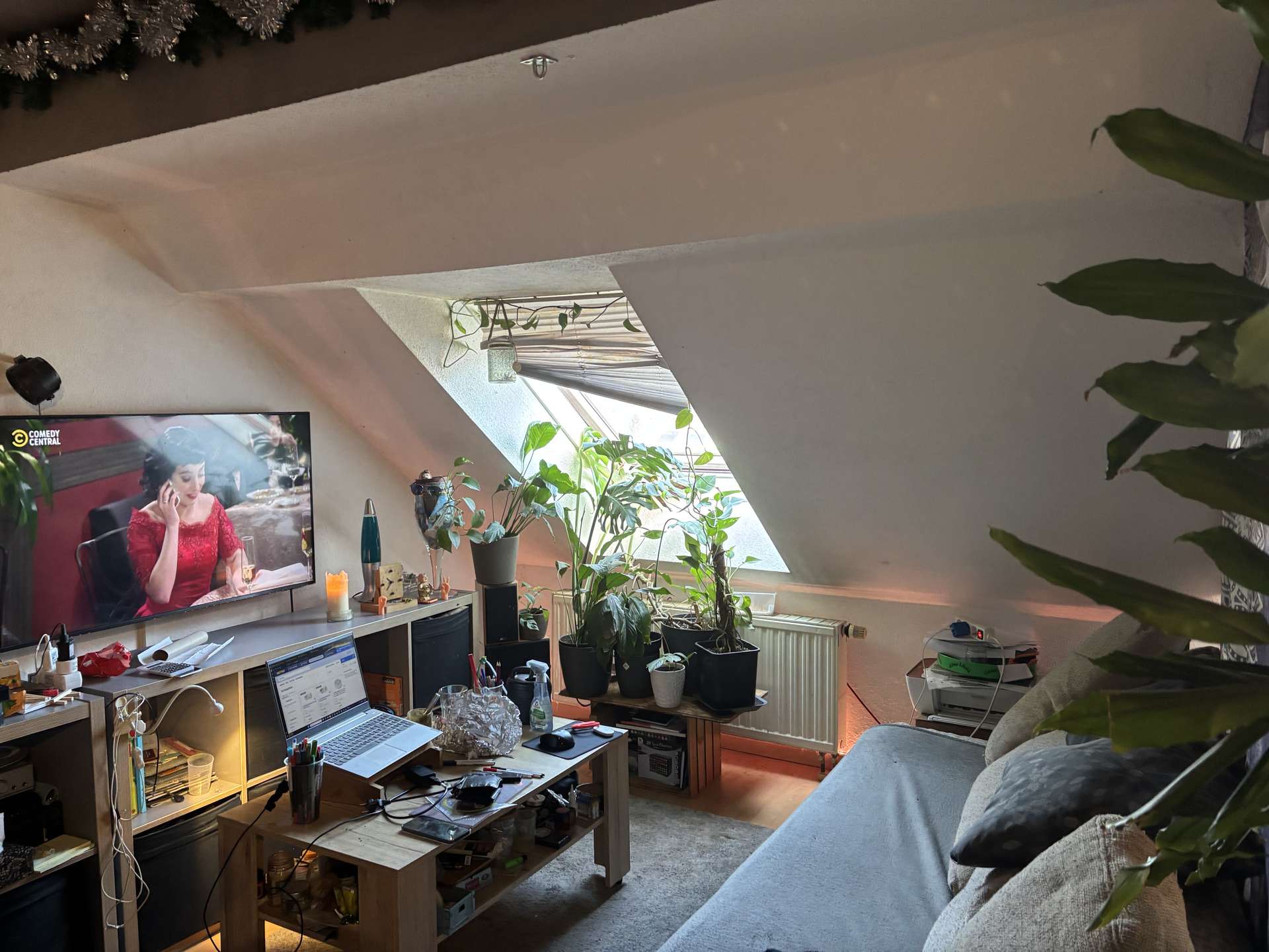 Wohnzimmer, Dresden (Pieschen-Nord/Trachenberge)