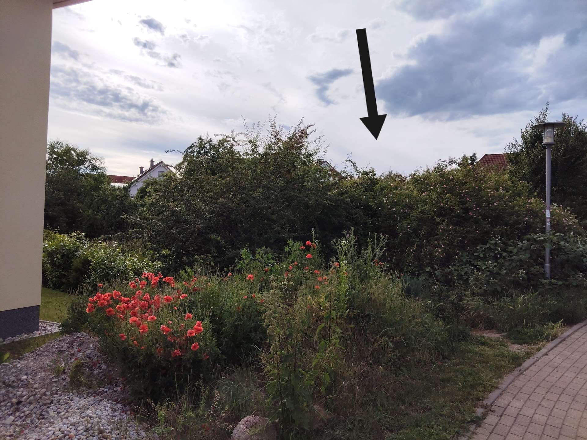 Garten, Schkopau (Schkopau)