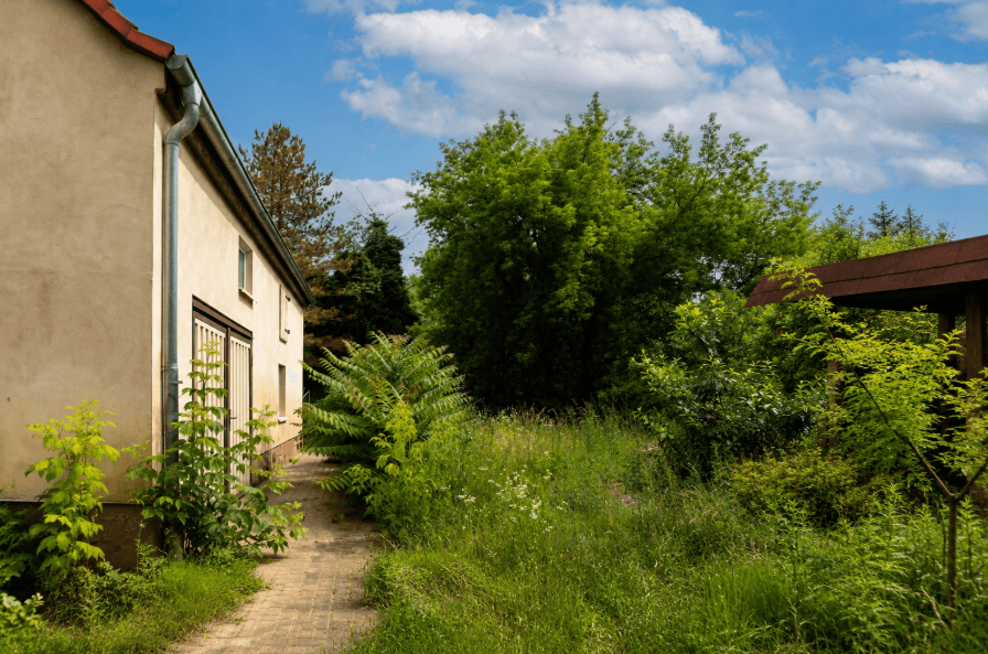 Garten, Schkopau (Schkopau)