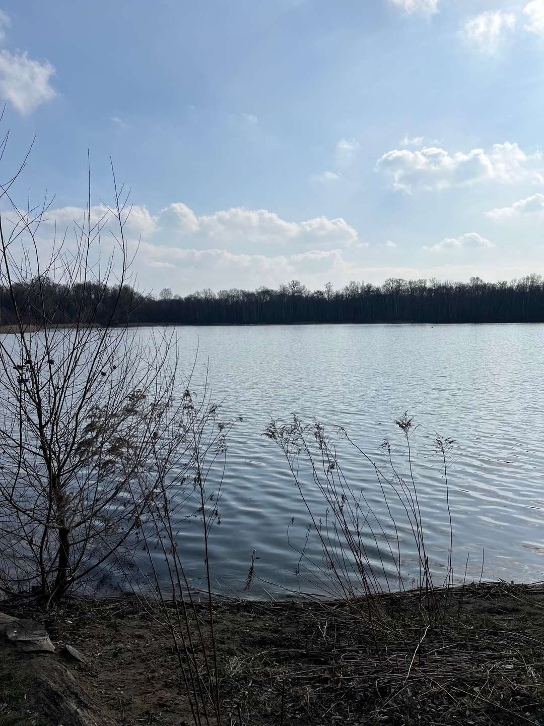 Umgebung Nymphensee, Falkensee (Falkensee)