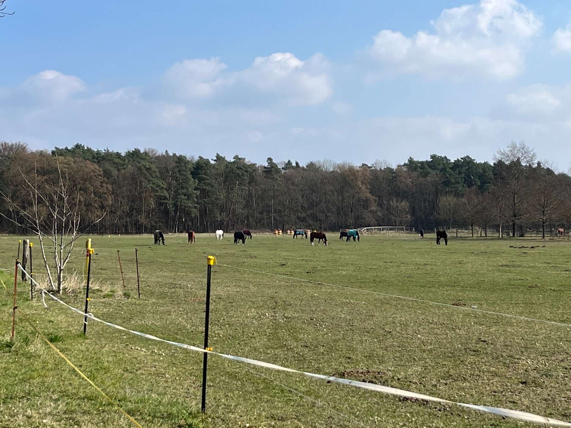 Umgebung Pferdekoppeln, Falkensee (Falkensee)