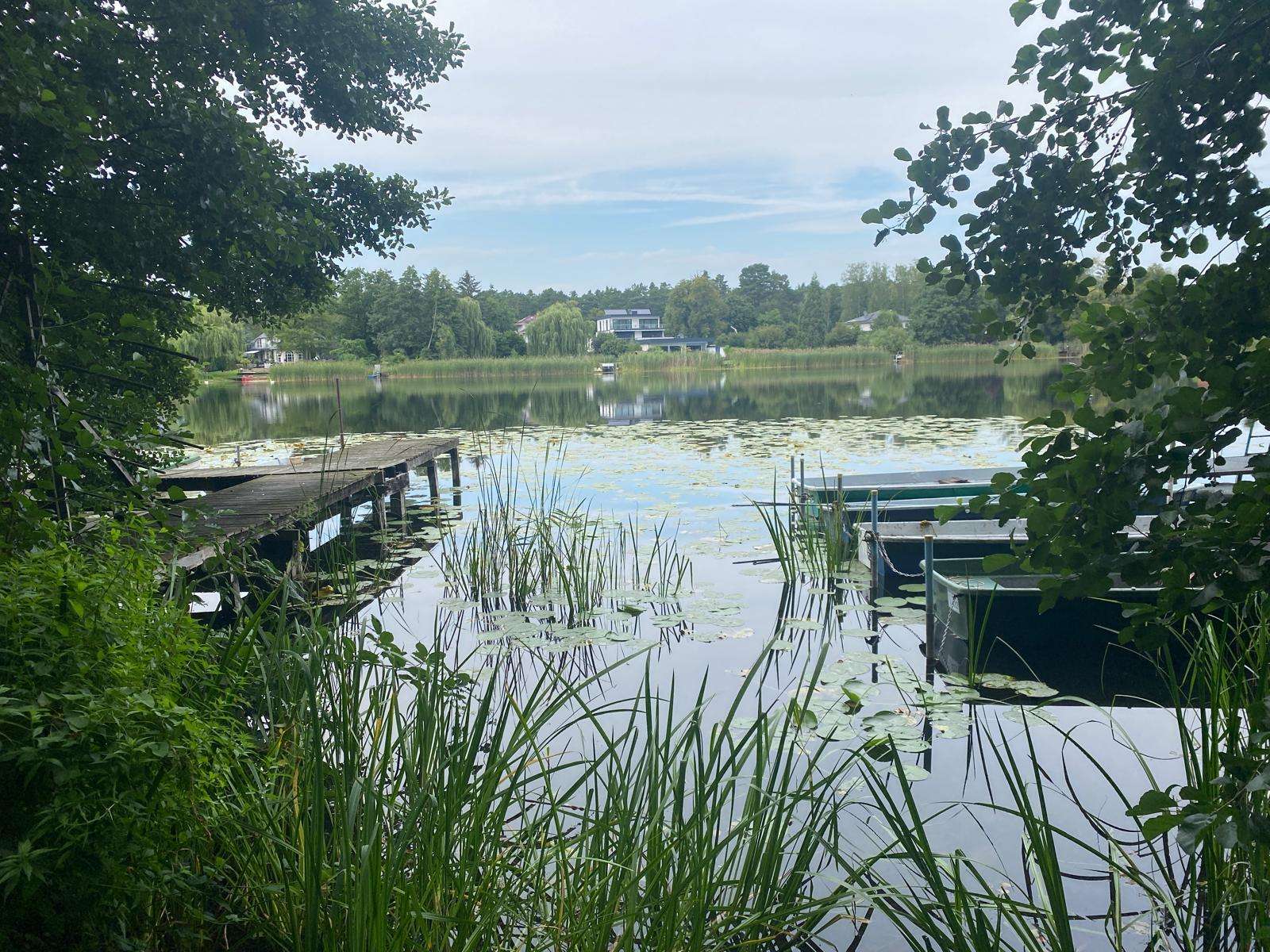 See, Falkensee (Falkensee)