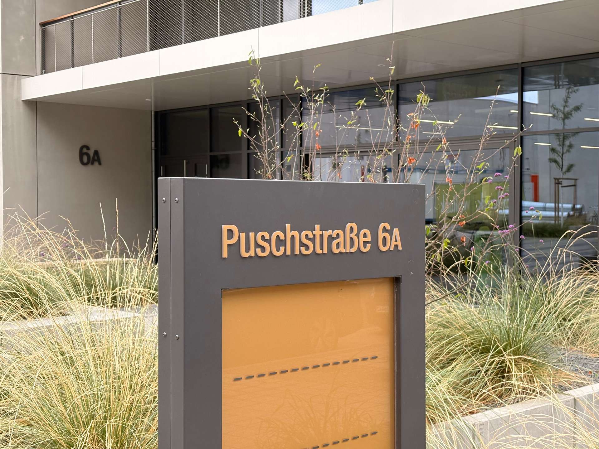 Hauseingang, Leipzig (Zentrum-Südost), Puschstraße 6
